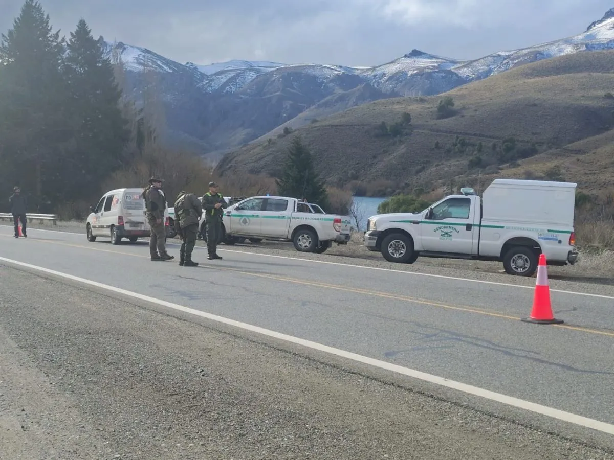 Refuerzan controles en rutas del Nahuel Huapi para prevenir atropellamientos de fauna silvestre