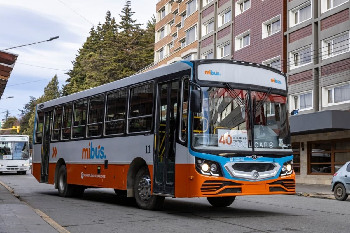 Reorganizan las líneas 71 y 81 del transporte urbano: nuevos recorridos para evitar confusiones