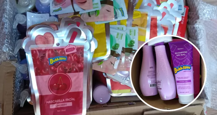 Retienen en el paso Samoré un camión con cosméticos sin declarar que venía a Bariloche