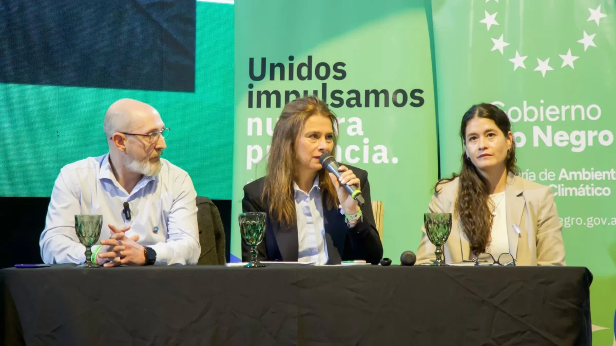 Río Negro busca convertirse en hub energético con gasoducto de 1.300 millones de dólares