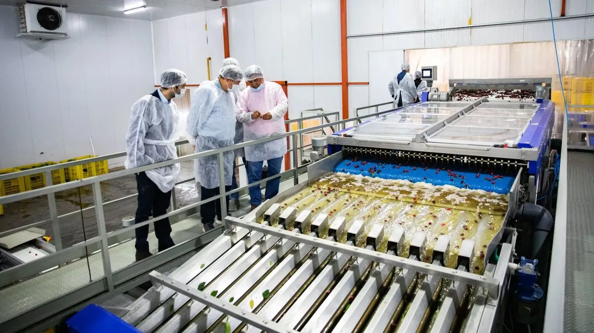 Río Negro destacó el potencial del RIMI para impulsar inversiones y generar empleo