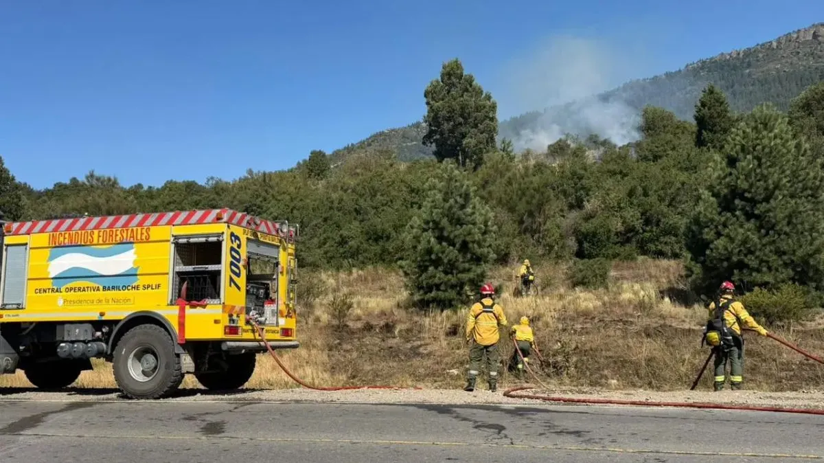 Río Negro gestiona financiamiento internacional para reforzar el sistema de combate contra incendios forestales