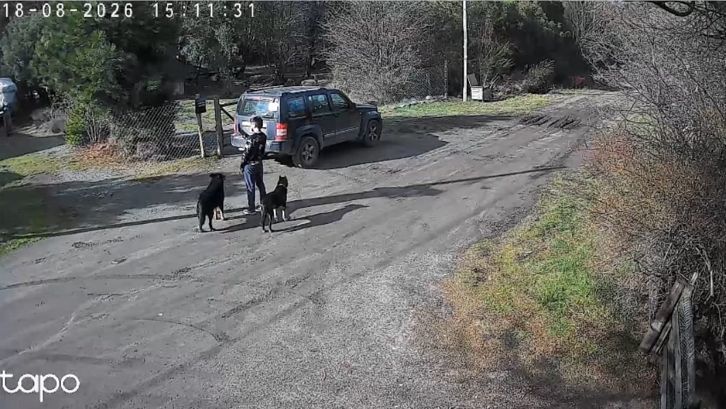 Robo en Nahuel Malal: fotografiaron viviendas durante el día y entraron de noche