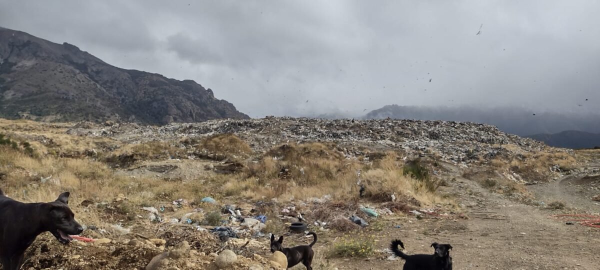 Rowing S.A. asumirá la operación completa del vertedero municipal por $339 millones