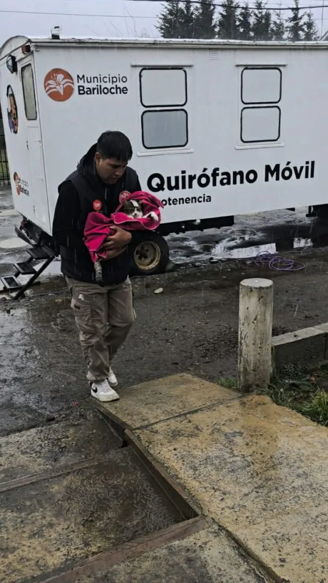 Sanidad Animal extenderá la campaña de castraciones en El Frutillar por la alta demanda