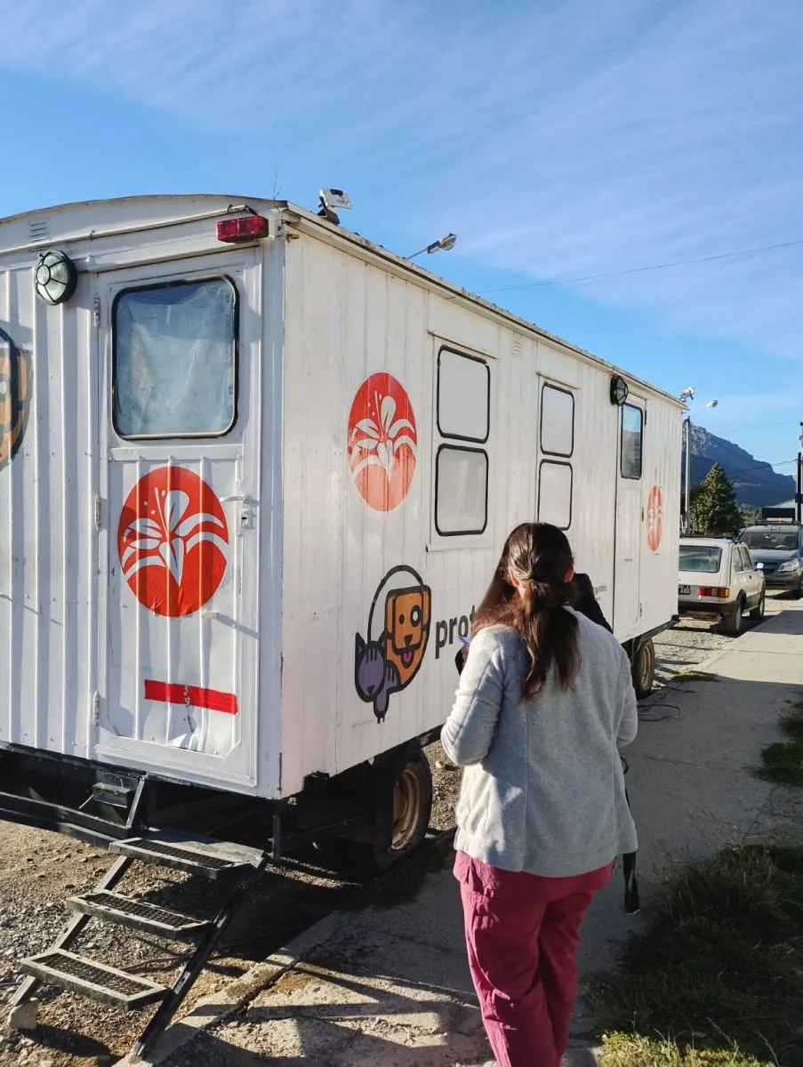 Sanidad Animal realizó más de 5.300 castraciones gratuitas en el primer semestre y llega a Valle Azul