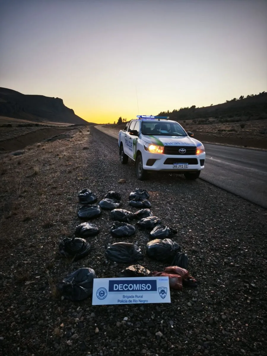 Secuestraron más de 100 kilos de carne vacuna transportada ilegalmente en la Ruta Nacional 23