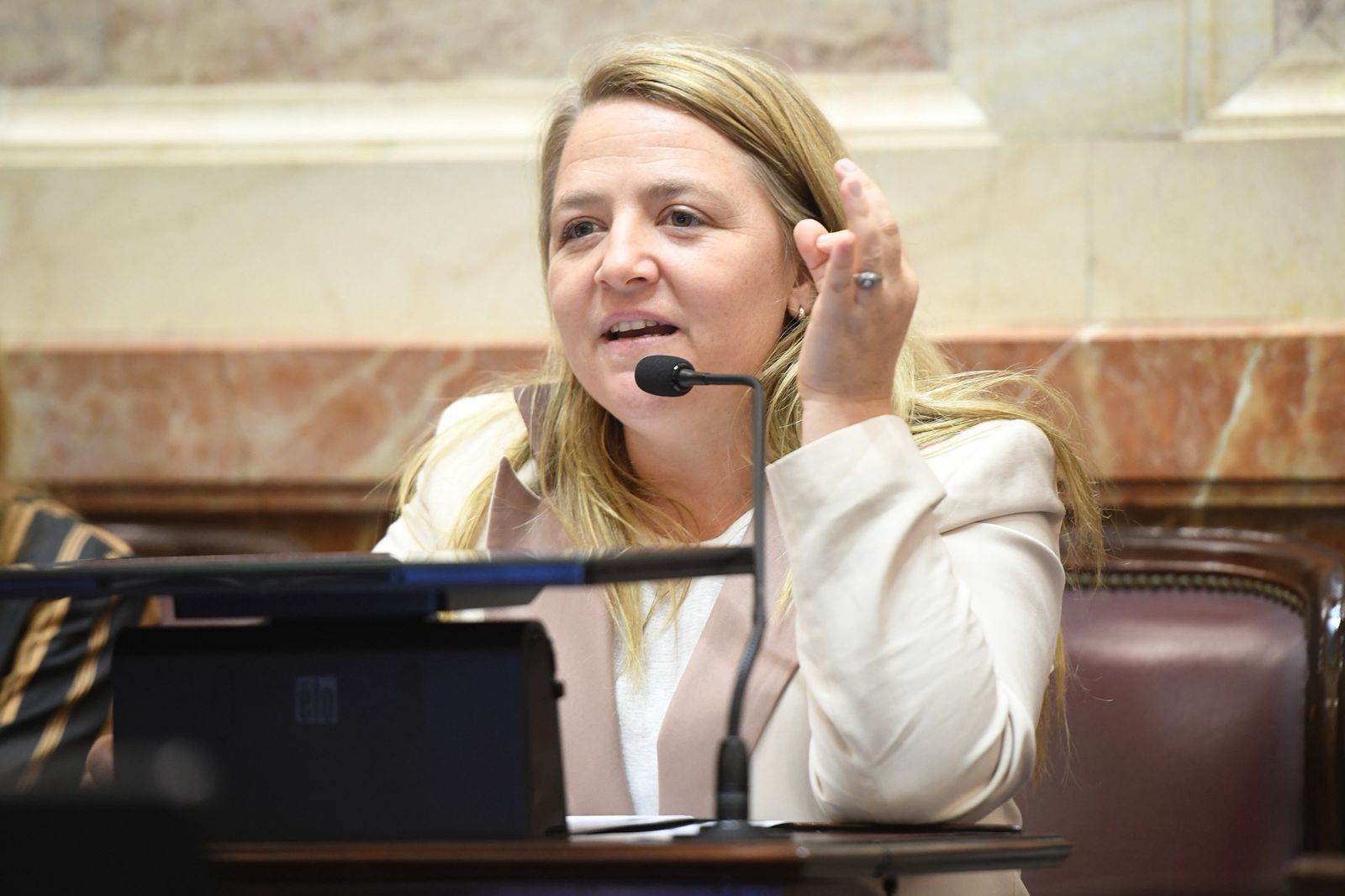 Senadora rionegrina presenta proyecto para proteger a familias endeudadas por el ajuste económico