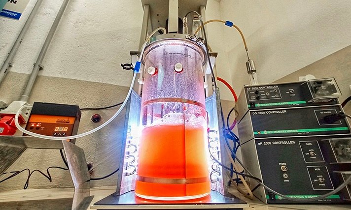 Startup barilochense desarrolla protectores solares naturales con levaduras patagónicas