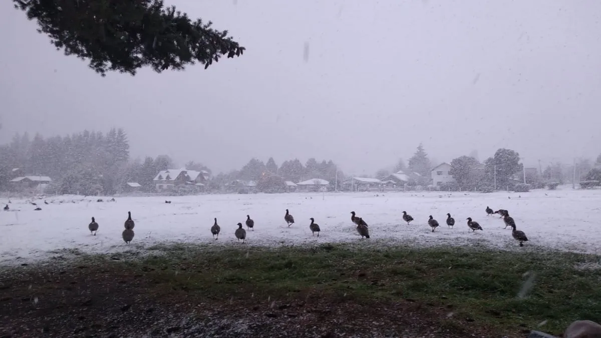 Suspenden todas las actividades deportivas municipales por el temporal de nieve