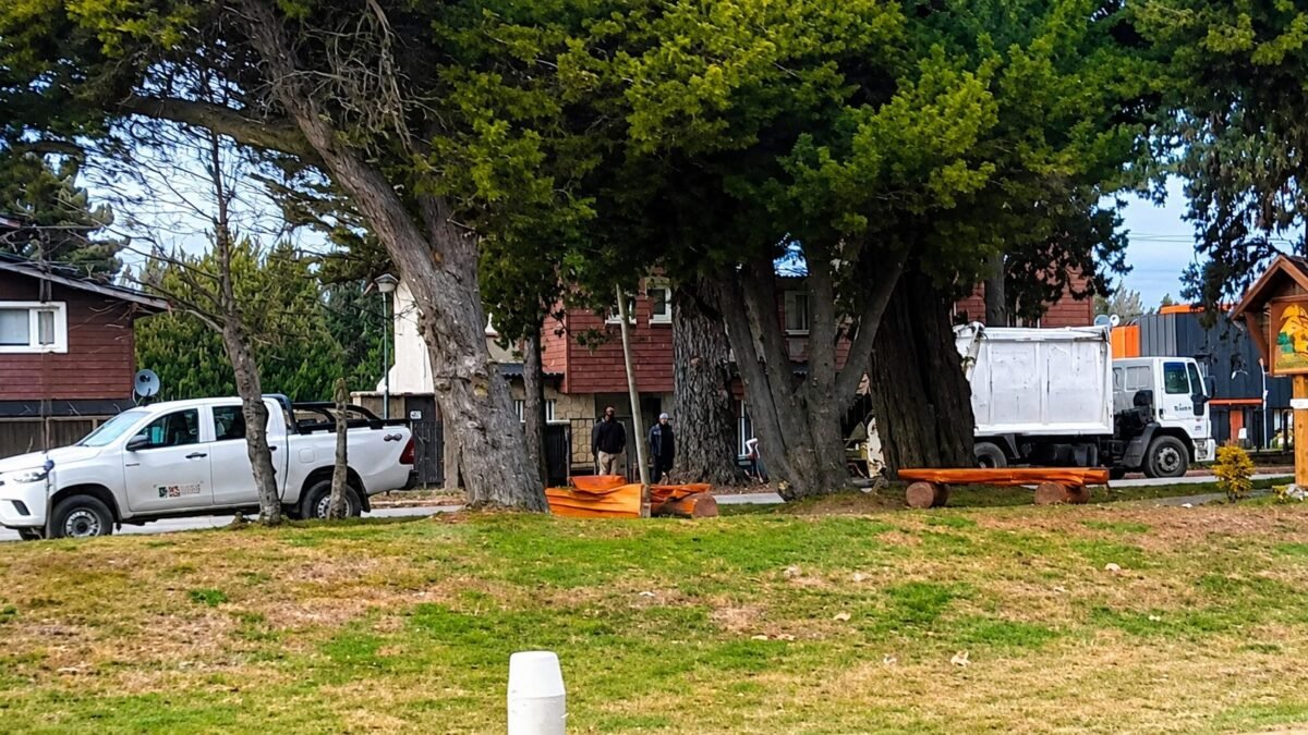 Trabajador municipal sufrió doble fractura expuesta tras ser embestido por camión recolector en Bariloche