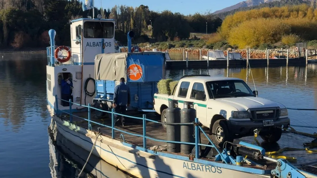 Tres caballos rescatados de las calles ahora ayudarán a guardaparques en tareas de conservación
