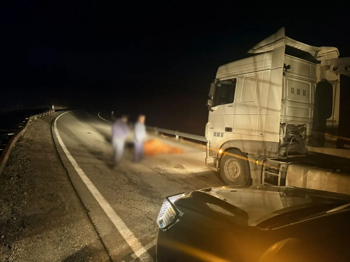 Un camión que viajaba hacia Chile chocó contra una vaca en la Ruta 231 cerca del paso Samoré