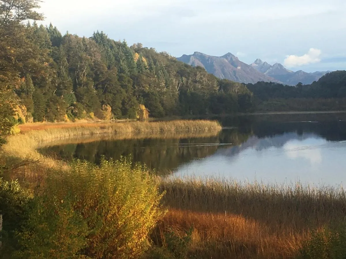 Vecinos reclaman un estudio de impacto ambiental conjunto para los proyectos Cauma y Faena en Lago Moreno
