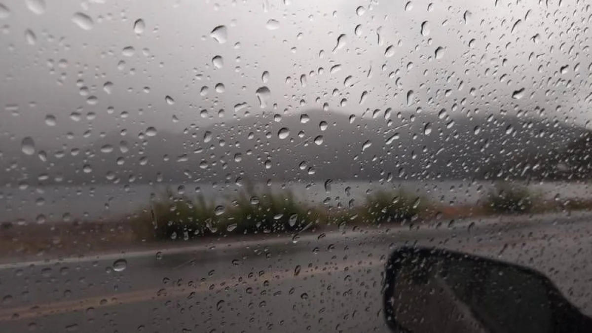 Vialidad advierte extrema precaución en rutas por lluvias, niebla y calzadas húmedas