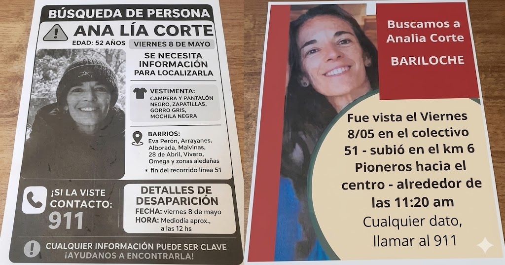 Intensifican la búsqueda de Ana Lía con afiches en toda la ciudad tras dos semanas de desaparición