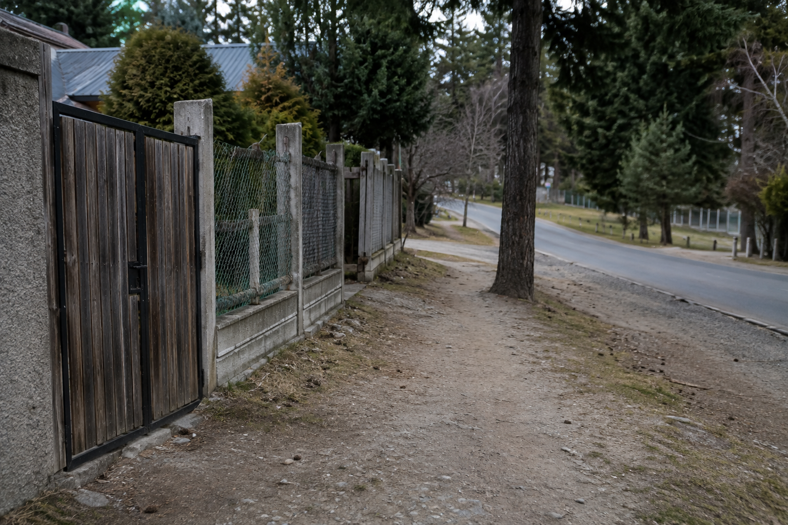 Justicia condenó a dueña de perros que atacaron a una mujer en Bariloche: la víctima pasó por cuatro cirugías